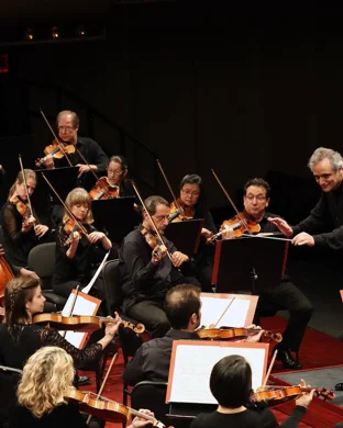 Live concert by The Lion King (Animated) In Concert - Film With Live Orchestra