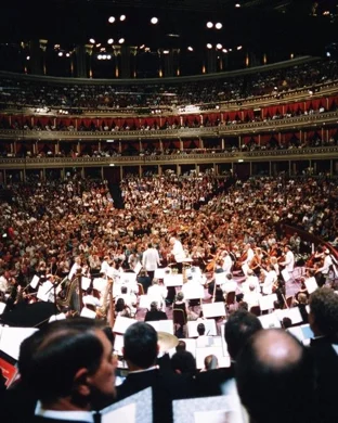 Aleph and His Orchestra