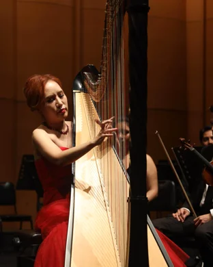 The Magical Music of Harry Potter Detroit