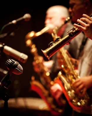 Jazzy Nights
