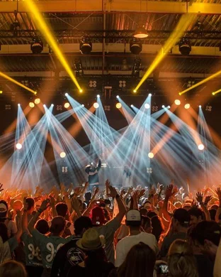 Daisy Grenade Detroit