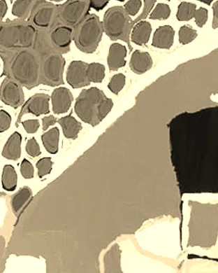 Akaash Singh Royal Oak