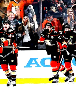 Anaheim Ducks vs. Detroit Red Wings