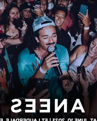 Live concert by Anees - Artist