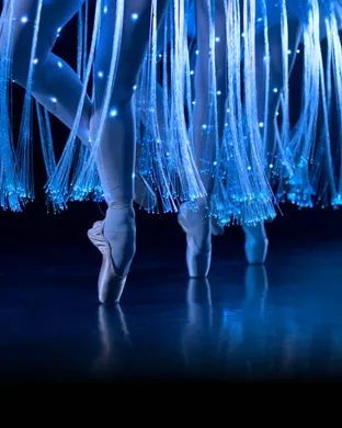 Ballet of Lights: Sleeping Beauty in a Sparkling Show