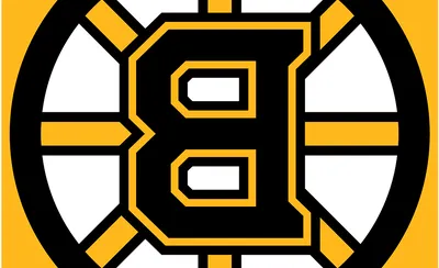 Boston Bruins