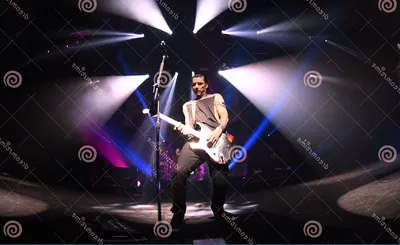 Bush - Band
