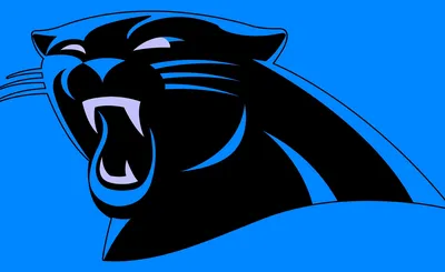 Carolina Panthers