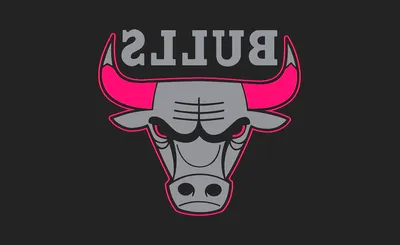 Chicago Bulls