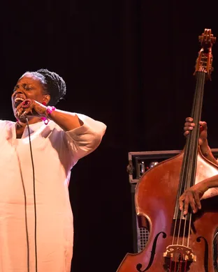 Dianne Reeves Quintet