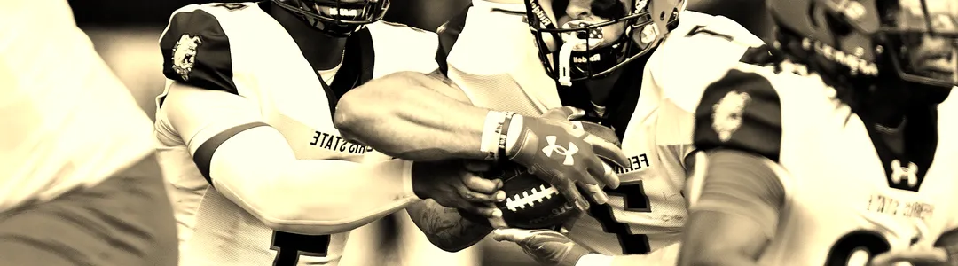 Ferris State Bulldogs Football