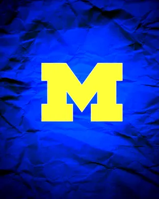 Michigan Wolverines vs. Wake Forest Demon Deacons sports event