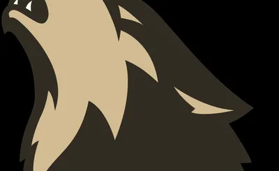 Minnesota Timberwolves