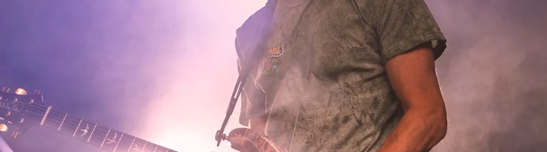 Pigeons Playing Ping Pong