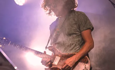 Pigeons Playing Ping Pong