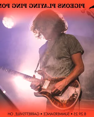 Pigeons Playing Ping Pong