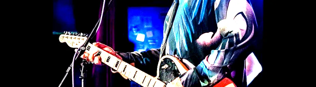 Robyn Hitchcock