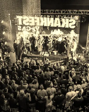 Skank in the Snow Festival: The Boy Detective, Capulet & Great Planes