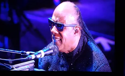 Stevie Wonder