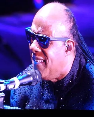 Stevie Wonder