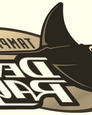 Tampa Bay Rays vs. Detroit Tigers