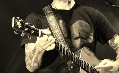 The Innocent Criminals