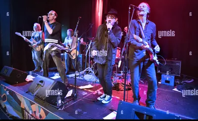 The Mekons