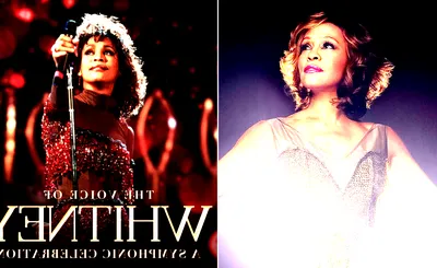 The Voice Of Whitney: A Symphonic Celebration