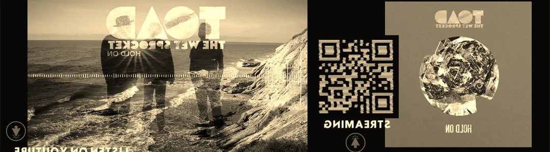 Toad The Wet Sprocket