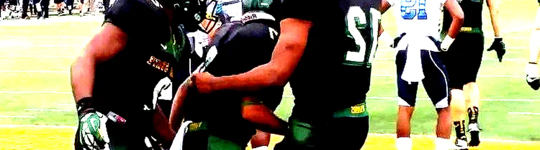 Wayne State Warriors Football