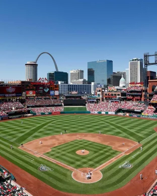 Night of Knockouts XL