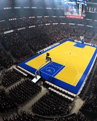 Wayne State Warriors Women's Basketball