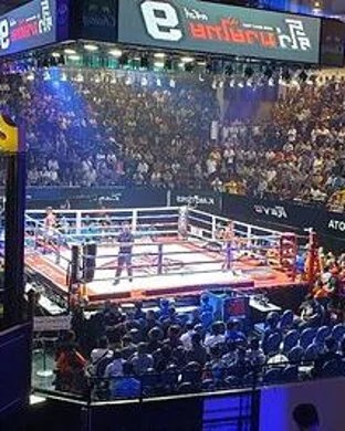 Night of Knockouts XXXIV sports event