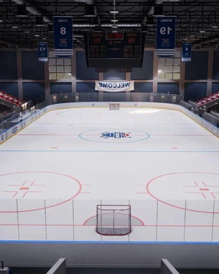 Michigan Wolverines Hockey