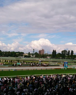 SWCS Celebrity Softball Game