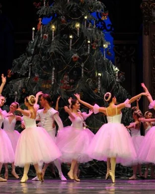 International Ballet Stars: Swan Lake theatre performance